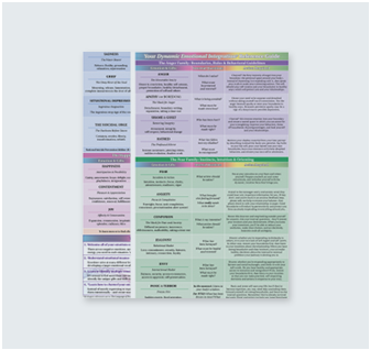 The DEI Workbook! image